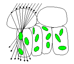 optical ray tracing model optical ray tracing model
